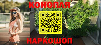 прущий лед Новозыбков