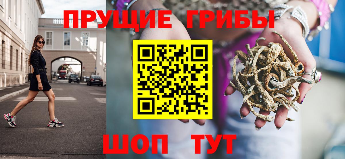Псилоцибиновые грибы Psilocybe  Псилоцибиновые грибы Cubensis  Вход с VPN  Узловая 